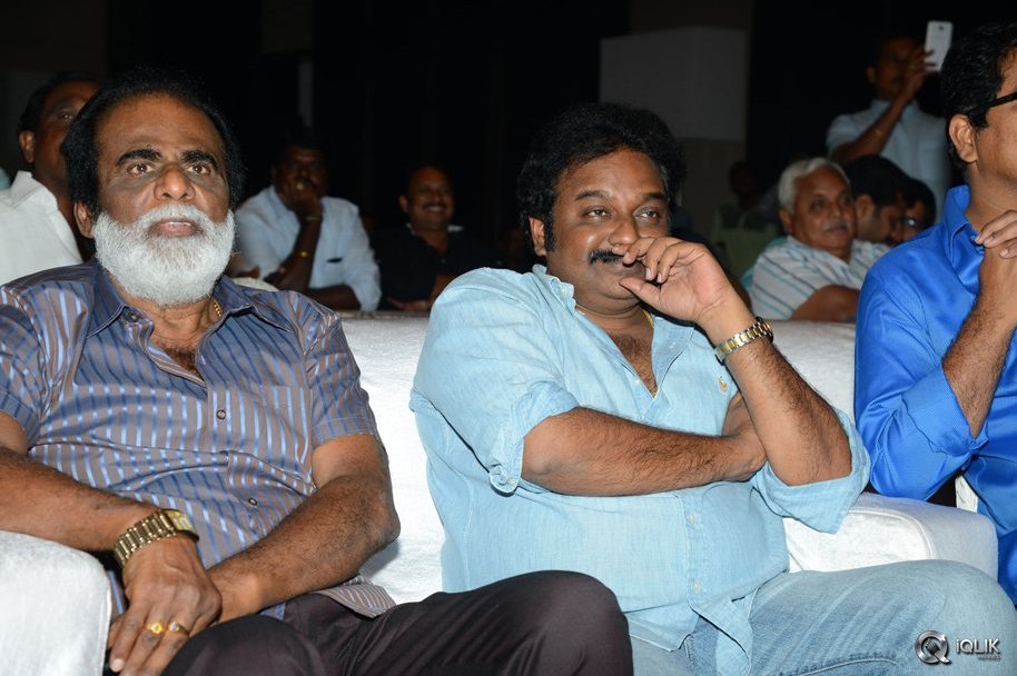 Rayudu-Movie-Audio-Launch
